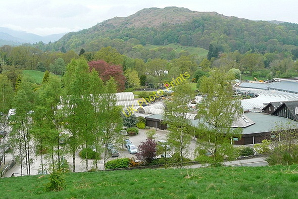 Photo 6"x4" Hayes Garden World Ambleside c2011