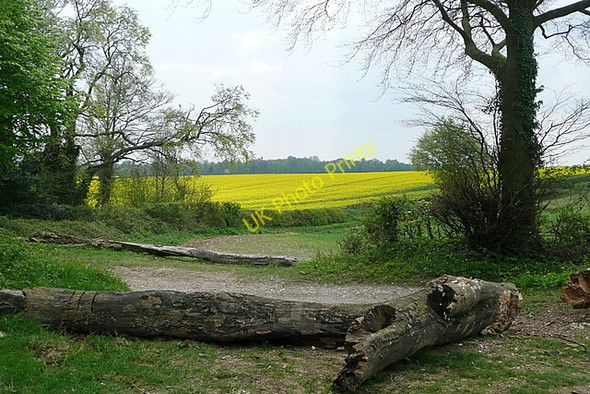 Photo 6"x4" Farmland at Hook Lane Upper Wootton c2011