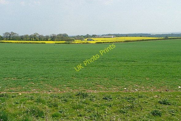 Photo 6"x4" Farmland at Upper Wootton Upper Wootton c2011