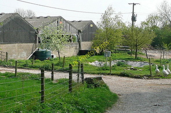 Photo 6"x4" Woodgarston Farm Upper Wootton c2011