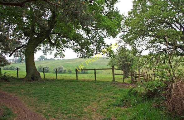 Photo 6"x4" Southwestern edge of Bunkers Hill Wood near Whittington Stourbridge c2011