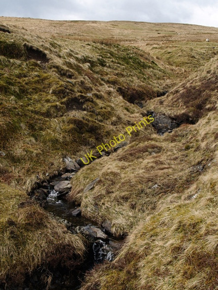 Photo 6"x4" Davington Burn Dobs Craig c2008