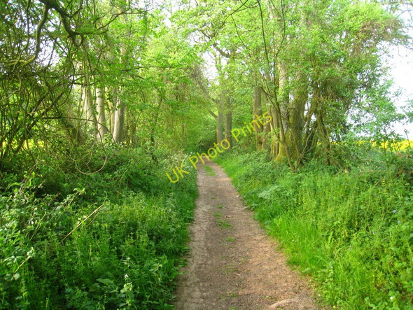 Photo 6"x4" Alley Lane Ellisfield c2011