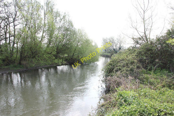 Photo 6"x4" Looking towards the bend Aldermaston Wharf c2011