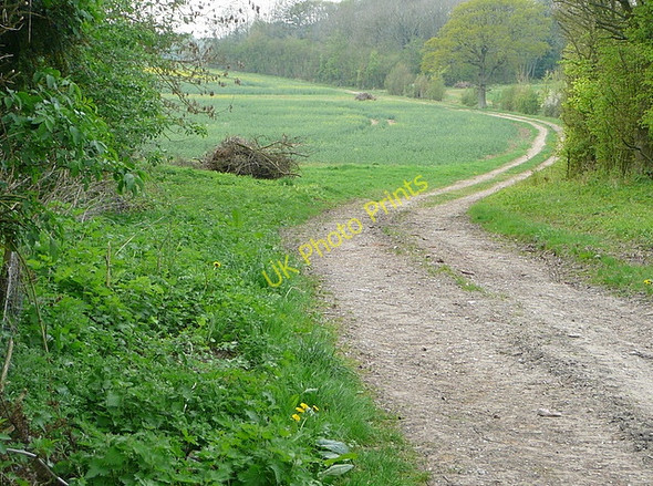 Photo 6"x4" Footpath to Ramsdell Monk Sherborne c2011