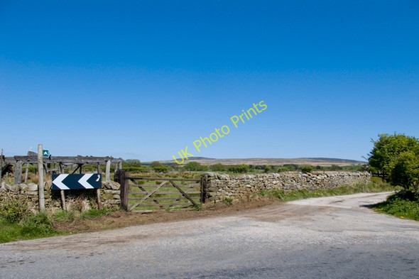 Photo 6"x4" Farm Entrance Road Hare Appletree c2011