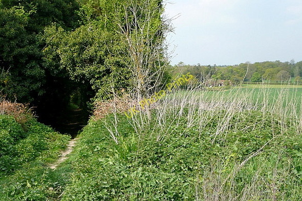 Photo 6"x4" Byway to Monk Sherborne Monk Sherborne c2011