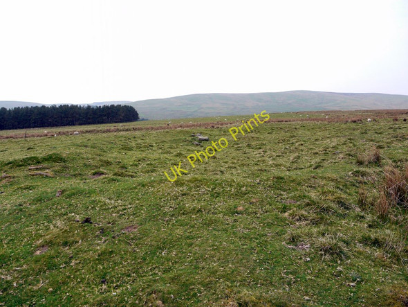 Photo 6"x4" Coppath Burn Romano-British Settlement Alnham c2011