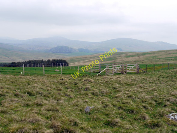 Photo 6"x4" Gate north of High Knowes Alnham c2011