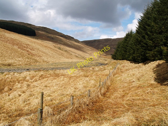 Photo 6"x4" The valley of the Glendearg Burn Dobs Craig c2008