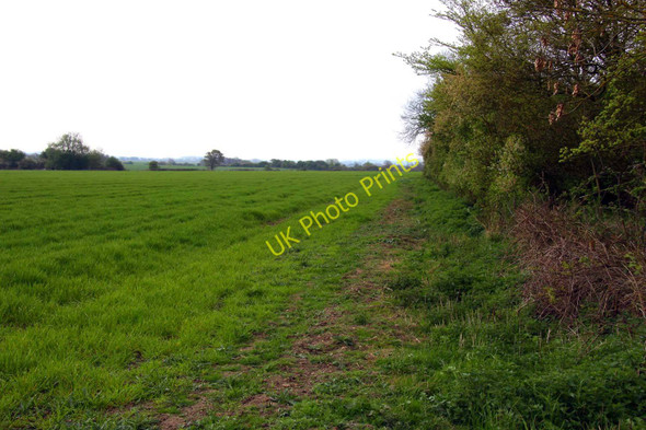 Photo 6"x4" Footpath along the side of the field Great Holcombe c2011