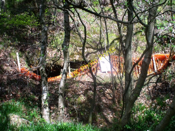 Photo 6"x4" Adit above Luggie Water Cumbernauld c2011