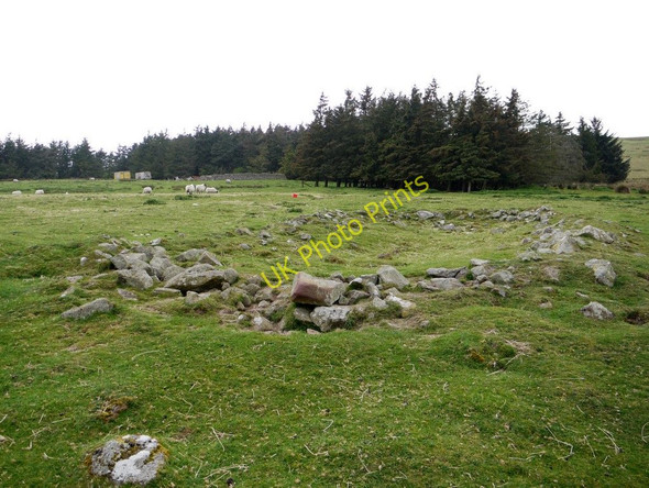 Photo 6"x4" Remains of buildings north of Hazeltonrig Burn Alnham c2011