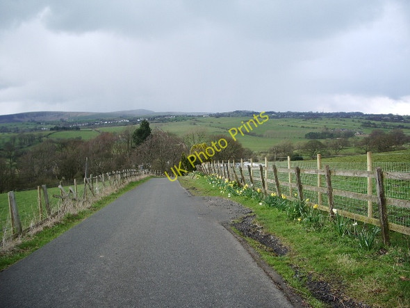 Photo 6"x4" Cornfield Grove, Burnley Padiham c2008