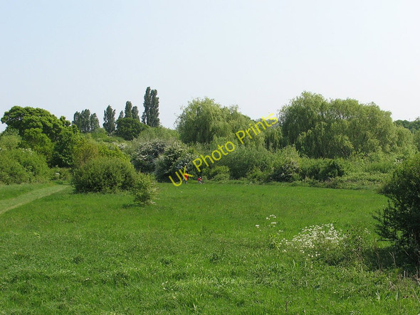 Photo 6"x4" Meadow alongside the Grand Union Canal Northolt c2011