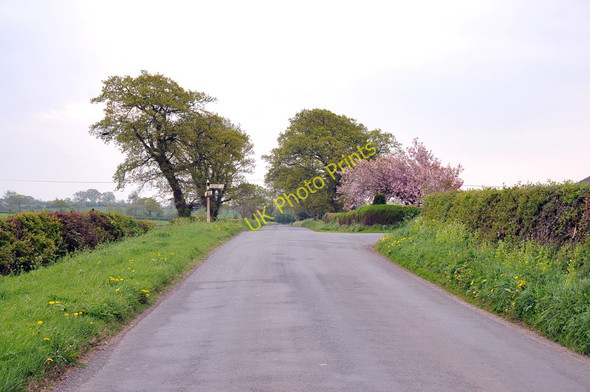 Photo 6"x4" Road junction near Burthwaite Burthwaite\/NY4149 c2011