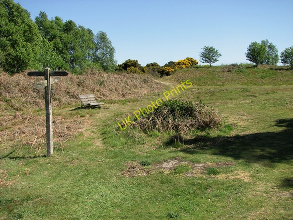 Photo 6"x4" Seat by footpath junction on Walberswick Common Southwold c2011