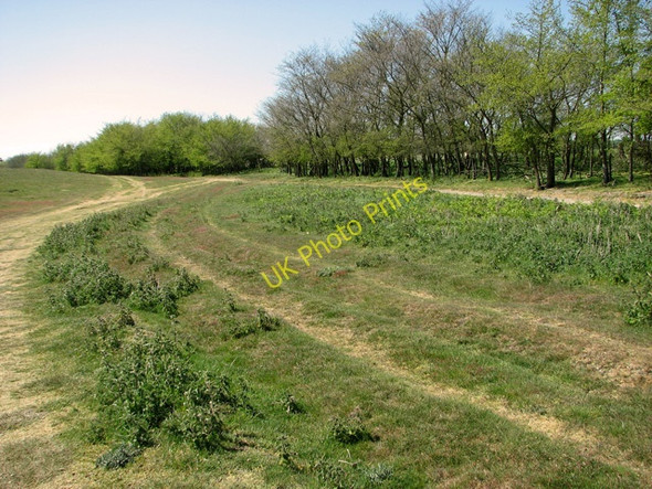 Photo 6"x4" Tracks on the edge of Walberswick Common Southwold c2011