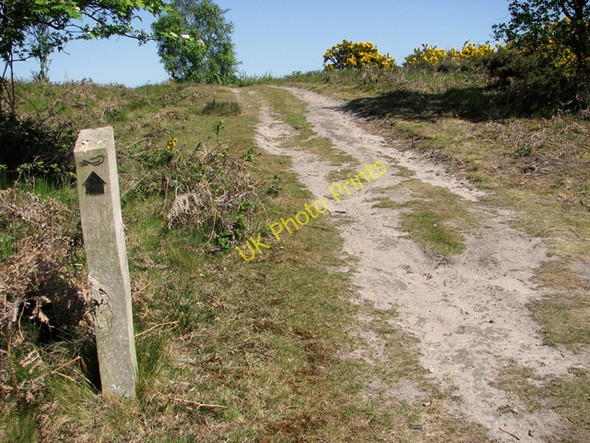 Photo 6"x4" Footpath on Walberswick Common Southwold c2011