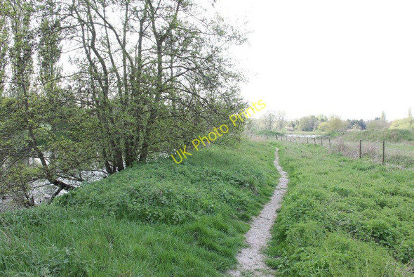 Photo 6"x4" Path along the Kennet Aldermaston Wharf c2011
