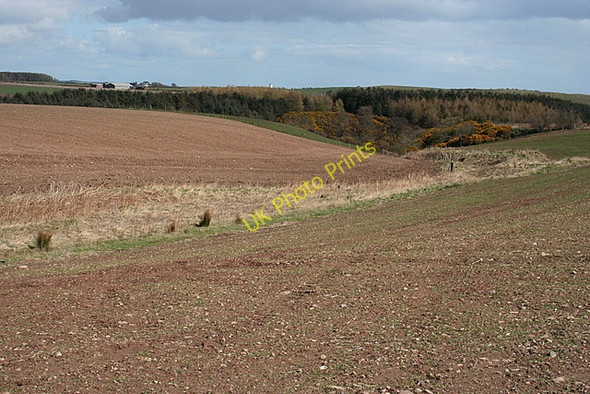 Photo 6"x4" Gara Burn Craigend\/NO5839 c2008