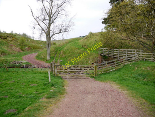 Photo 6"x4" Ford and footbridge over Spartley Burn, Hazeltonrig Alnham c2011