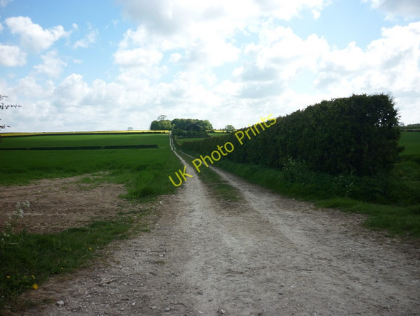 Photo 6"x4" A footpath heading towards Mount Pleasant Farm Lund\/SE9748 c2011