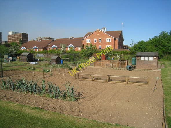 Photo 6"x4" Eastrop Allotments Basingstoke c2011