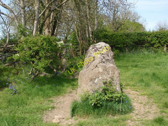 Photo 6"x4" Cerrig Myrddin \/ Merlin's Quoits Llangain c2011