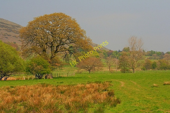 Photo 6"x4" Route of Public Footpath to Scales Scales\/NY3426 c2011