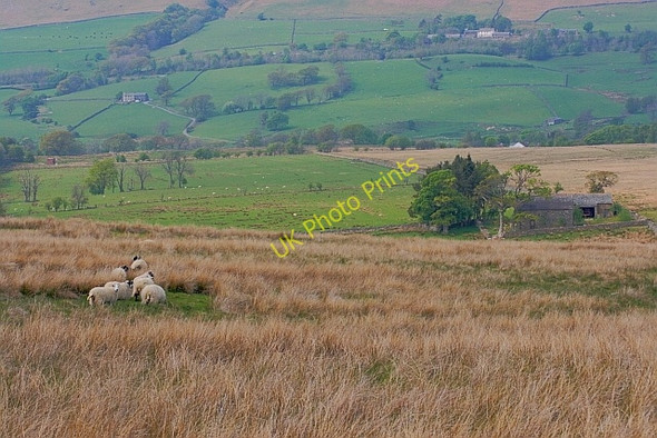 Photo 6"x4" Threlkeld Common Scales\/NY3426 c2011 P1