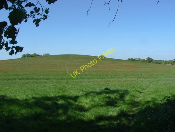 Photo 6"x4" Round Hill, Littlefield Littlefield Common c2011