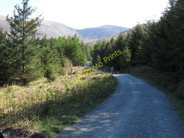 Photo 6"x4" May Day Walkers in Tollymore Forest Park Newcastle\/J3732 c2011