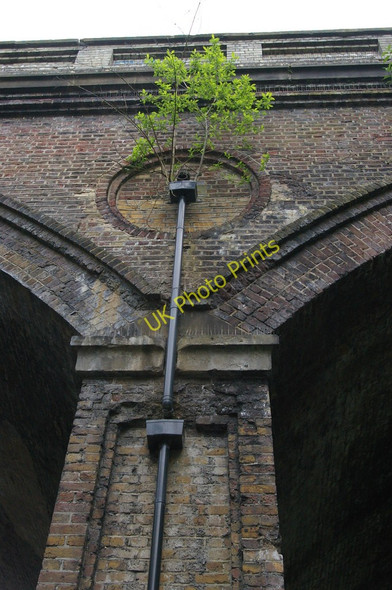 Photo 6"x4" Railway bridge, Penge High Street: vegetation growing in the drainpipe Penge c2011