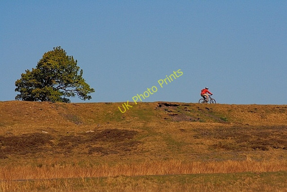 Photo 6"x4" Cyclist on the Old Railway Crawleyside c2011