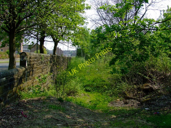 Photo 6"x4" Former trackbed of the paisley canal Line Paisley c2011