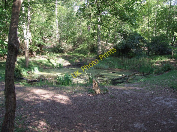 Photo 6"x4" Hidden Pond Sandringham c2011