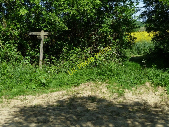 Photo 6"x4" Footpath and bridleway crossing north of Kirdford Great Common\/TQ0127 c2011