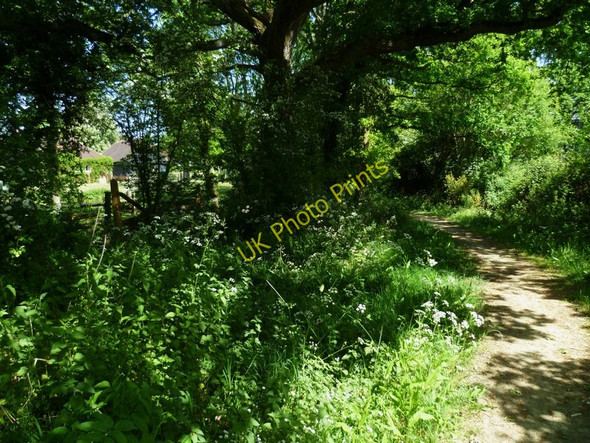 Photo 6"x4" Bridleway passing Holland's Heath Farm Great Common\/TQ0127 c2011