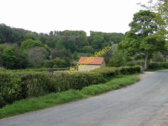 Photo 6"x4" View to Hagg Wood Lastingham c2011