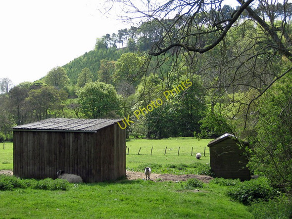 Photo 6"x4" Pastures below Hagg Wood Lastingham c2011
