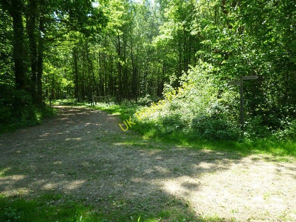 Photo 6"x4" Track in Petsalls Copse Kirdford c2011