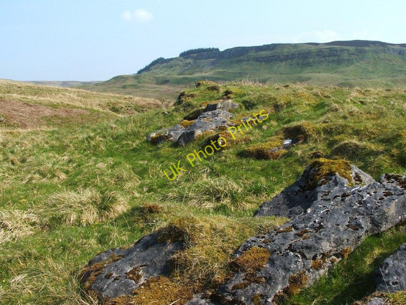 Photo 6"x4" A line of limestone outcrops Bellsmyre c2011