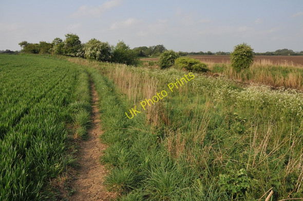 Photo 6"x4" Thames Path near Castle Eaton Calcutt\/SU1193 c2011