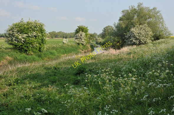Photo 6"x4" River Thames near Castle Eaton Castle Eaton c2011