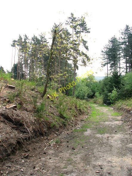 Photo 6"x4" Path descending into the Glaven valley Holt\/TG0838 c2011