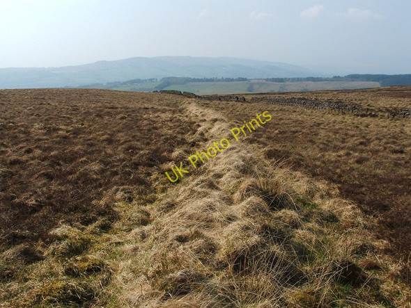 Photo 6"x4" Old field boundary Bellsmyre c2011