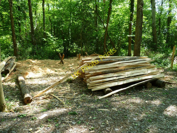 Photo 6"x4" Fence posts in Petsalls Copse Strood Green\/TQ0224 c2011