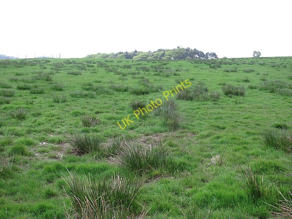 Photo 6"x4" Wet pasture Wester Dechmont c2011