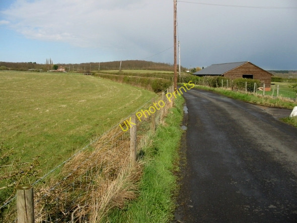 Photo 6"x4" Looking NE along Denstroude Lane Dargate Common c2008